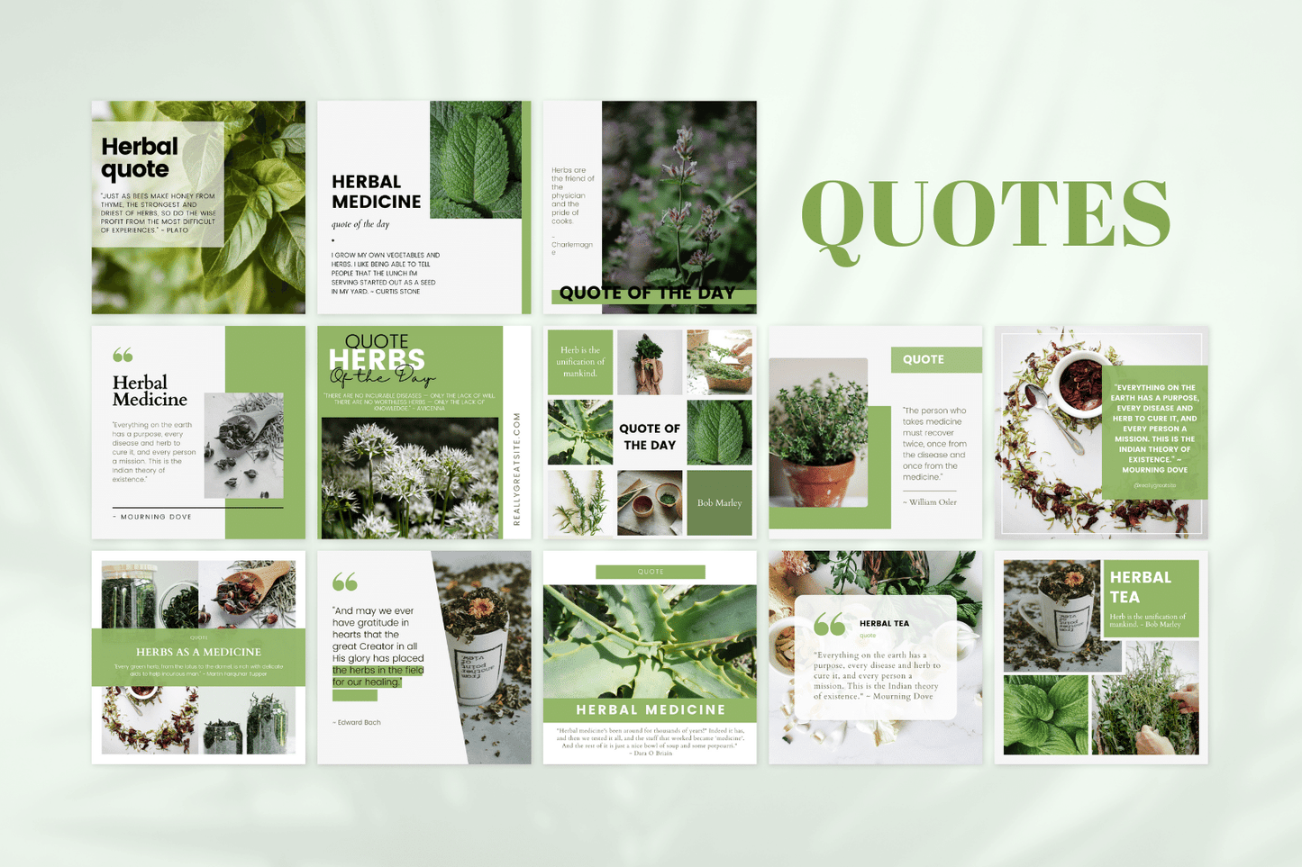 200 Herbal Medicine Templates for Social Media