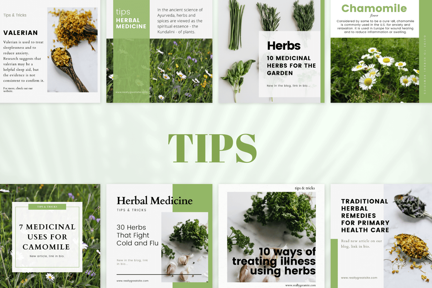 200 Herbal Medicine Templates for Social Media